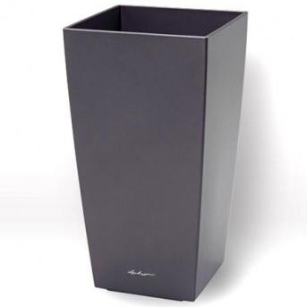 Buis boule(40 - 45 CM) rempoté dans un pot LECHUZA CUBICO ANTHRACITE