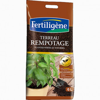 Terreau rempotage
