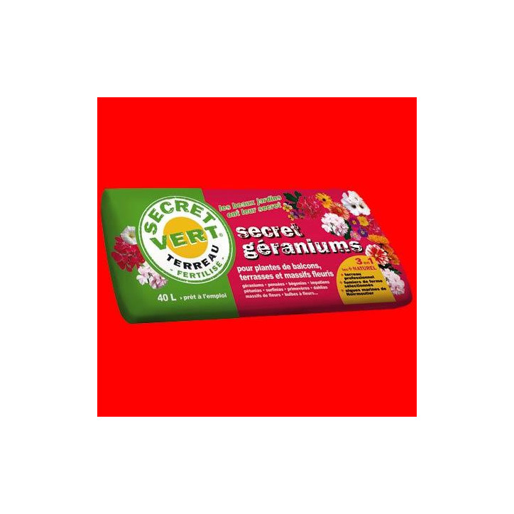Terreau secret geraniums