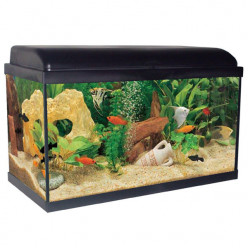 Aquarium AQUADREAM 60