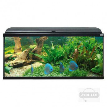 Aquarium AQUADREAM 80