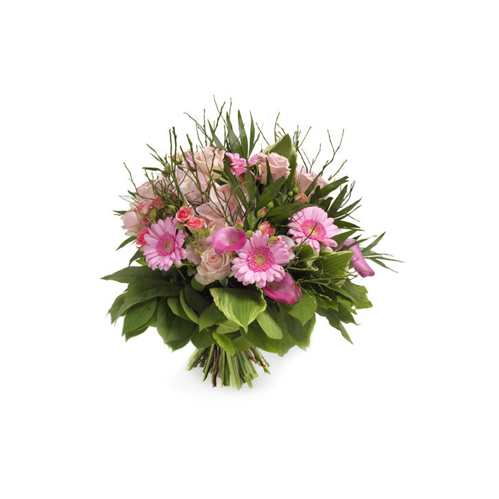 Paradis rose