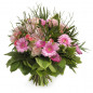 Paradis rose