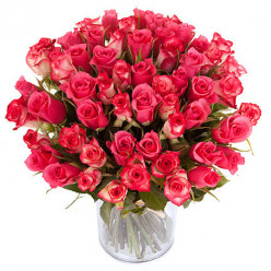 Roses Lolita