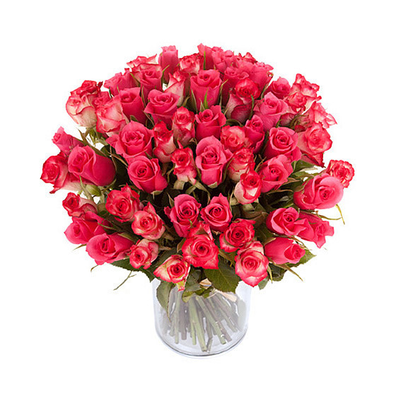 Roses Lolita