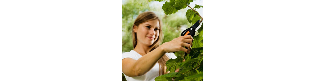 Fiskars