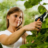 Fiskars