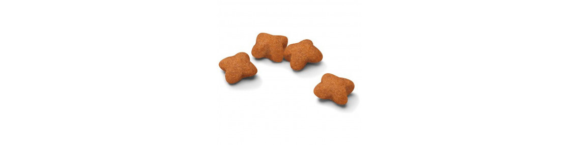 Croquettes