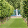 Les grands arbres ou d'alignement