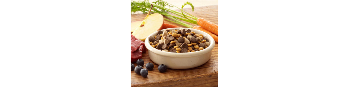 L'alimentation
