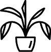  Plantes d'intérieures 